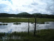 User submitted picture: Vistor's Interpretive Ce...