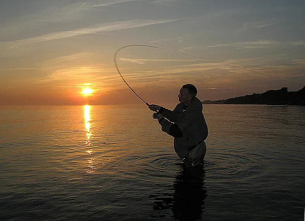 User submitted picture: Persson has spotted 3 tro...