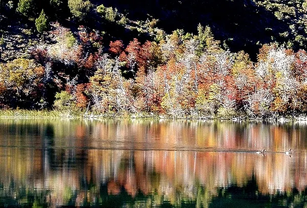 User submitted picture: Mirrored alpine lake, sun...
