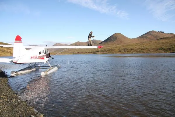 User submitted picture: Fighting a big silver fis...