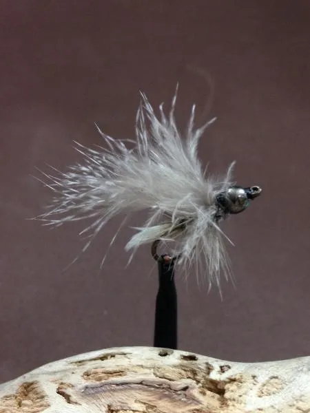 User submitted picture: This fly is called the "...