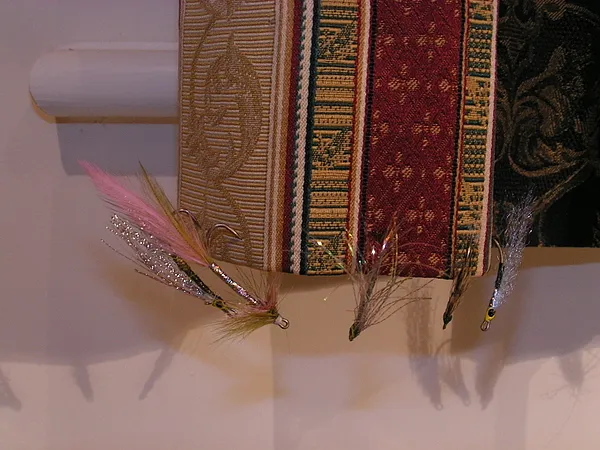 User submitted picture: fly on the curtain - a go...