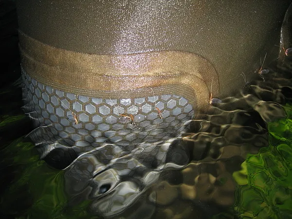 User submitted picture: Fishing at dawn, I sudden...