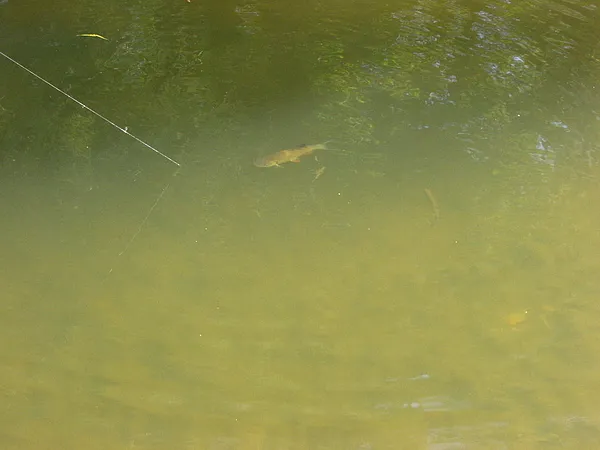 User submitted picture: Little chubby on the righ...