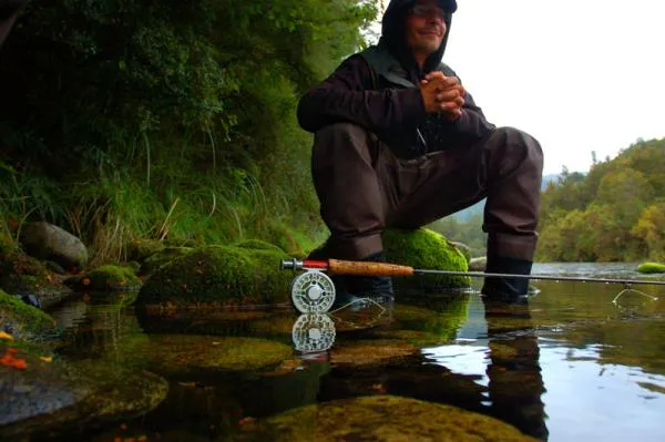 User submitted picture: resting in green