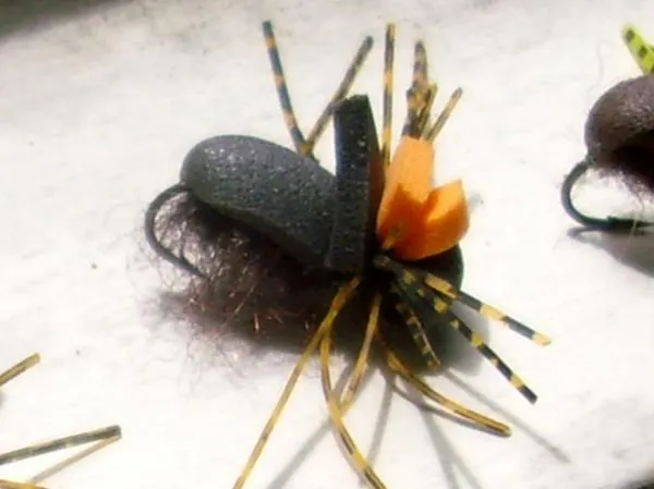 User submitted picture: A foam beetle. Good fly f...