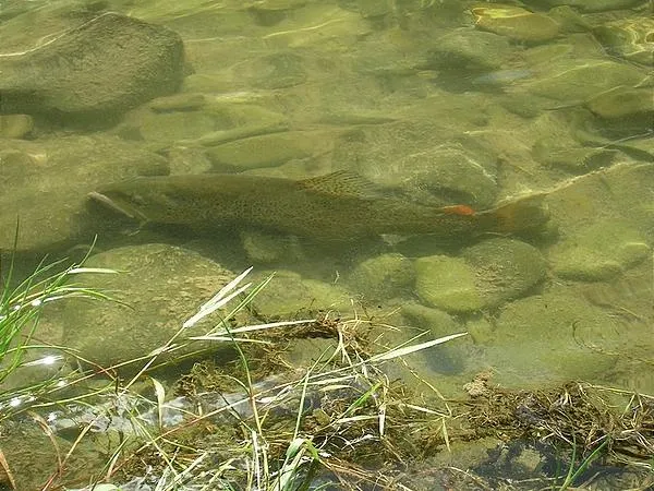 User submitted picture: OK, just give me a minute...