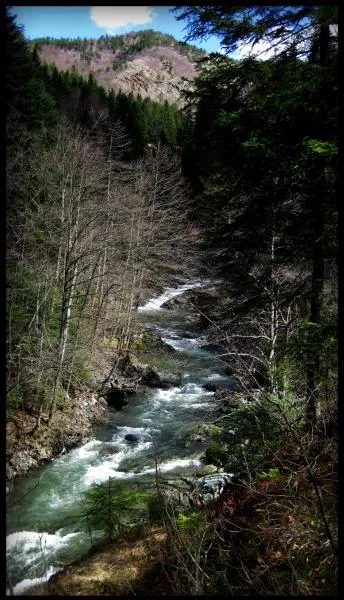 User submitted picture: A MOUNTAIN RIVER