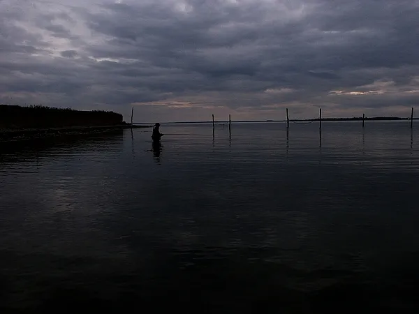 User submitted picture: Ripley enjoying the silen...